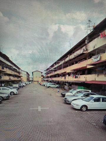 Freehold 1
