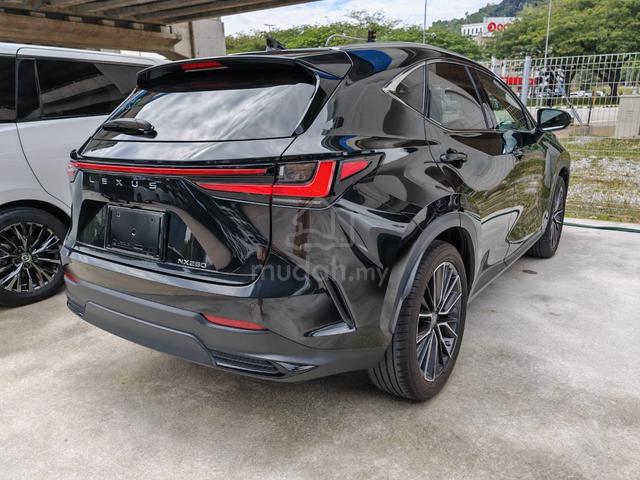 2022 Lexus NX 250 Luxury 6 years warranty unreg - 2