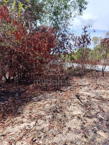 Tanah 1.9 ekar Jalan Pengkalan Gelap,Setiu Dekat Setiu Wet Land 1