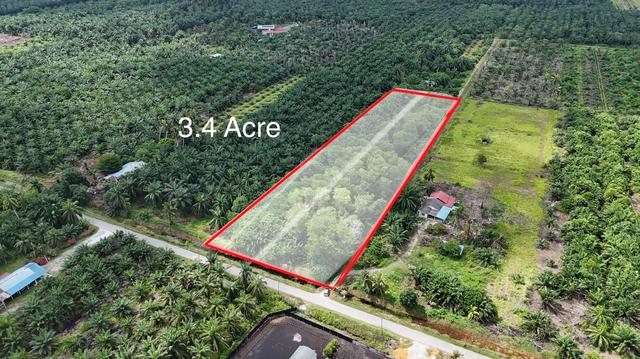 Tanah 3 Ekar Murah di Sabak Bernam Mukim Sungai Panjang Selangor 1