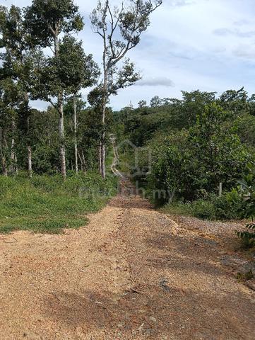 kampung Gesir tengah tanah atas bukit 1