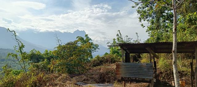 6.41 Acre Land with Mount Kinabalu View for SALE 1