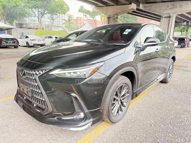 2023 Lexus NX250 2.5 Stander Modenlisda Kit Grad 5 - 3