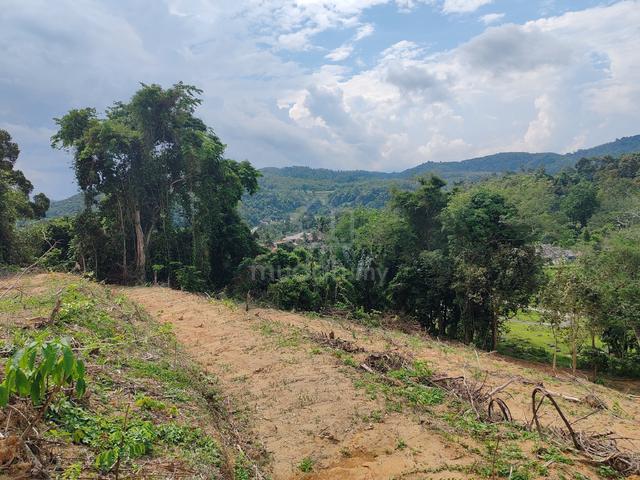 Tanah Cantik dgn Pokok Durian 1