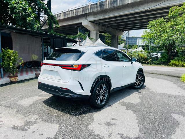 2023 Lexus NX 250 2.5 BASE Red Interior High Spec - 4