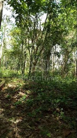 Tanah Kosong Tepi Sungai Mukim Lenggong 5