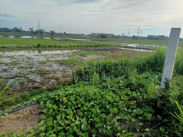 Tanah Untuk Dijual 1