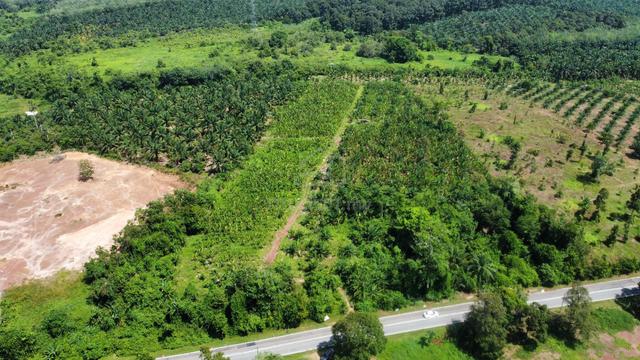 Tanah Pertanian 3 Ekar Tepi Jalan, Chohong, Jasin Melaka 1