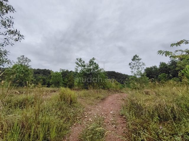 Agriculture Land Pokok Sena For Sale 1