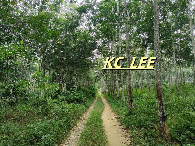 5.03 Acres Agricultural Land For Sale | Sauk |Perak 1