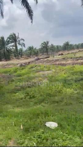 Zoning mixed development land in Mukim Tanjong Duabelas 4