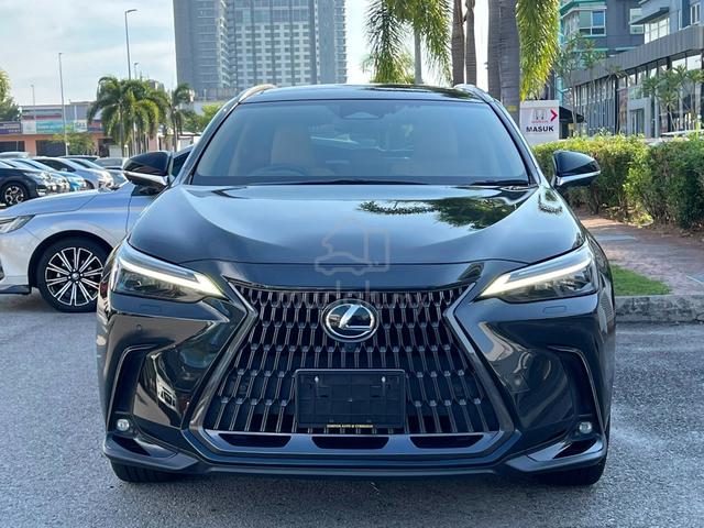 2022 Lexus NX 250 Version-L Panoroof Recon Japan - 4
