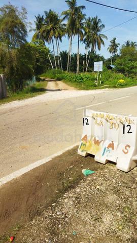 Kebun sawit untuk dilepaskan di tawar baling kedah. 1