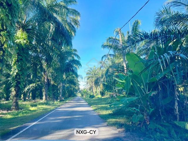 4 ACRES !! Kampung Permatang Agriculture Land Kuala Selangor 1