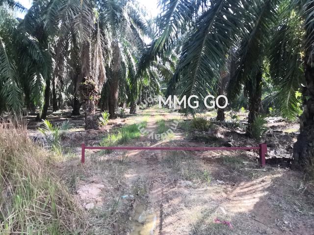 2.437 acres Kuala selangor Argiculture Land for sale 🌱🌱🌱 1