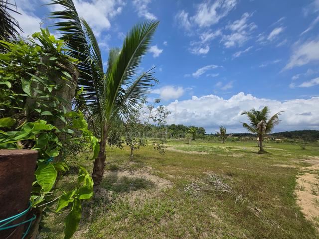 4.2 acres House and Birdhouse With River,Resort,Retire,Sungai Tiram 1
