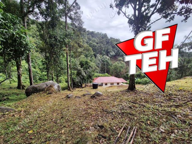 6.35acres Agricultural Land Durian Farm Sungai Lembu BM Penang 3