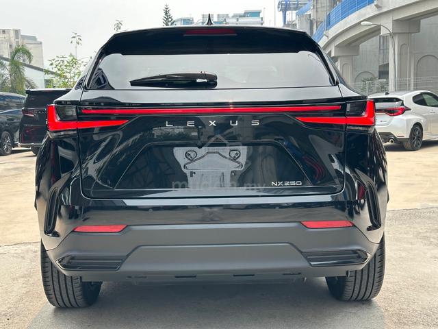 2022 Lexus NX250 2.5 LUXURY (A) - 4