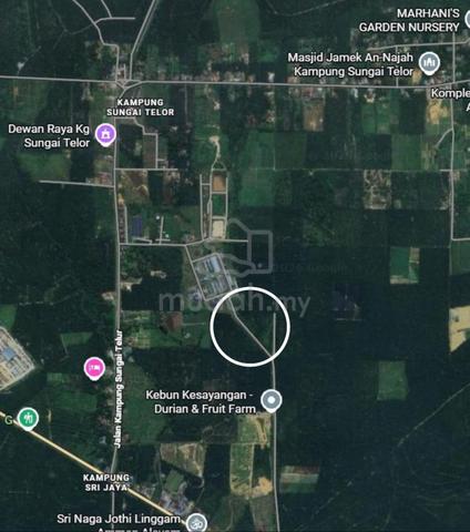 Kota Tinggi Jalan Kota Tinggi Kulai Agricultural Land for Sale 1