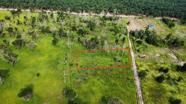 Tanah Pertanian 1 ekar Seri Damai ( below mv) 1