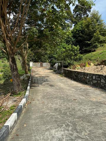 Balik Pulau Durian Estate 2.919 Acres 1