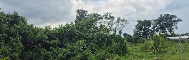 Tanah (Pertanian) Taman Saujana, Plentong 1