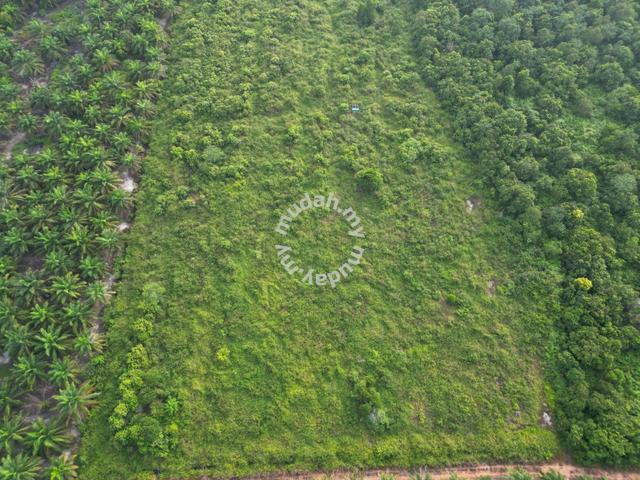 TANAH KOSONG Freehold 5.6 Ekar di Tenglu, Mersing, Johor [MURAH] 1
