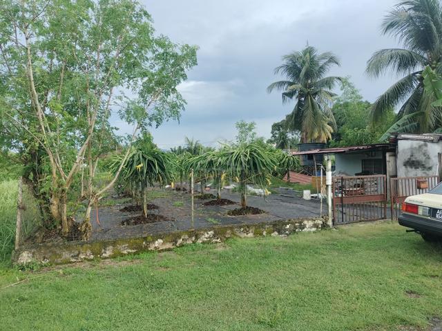 50 x 80 bungalow lot 2