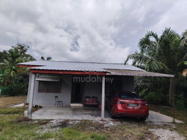 Rumah Kampung Luas utk disewakan.  1