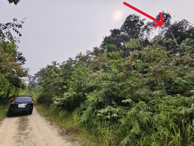 Tanah 2.75 Ekar ( Non Bumi Lot ) Dekat Mak Lagam,Kemaman. 1