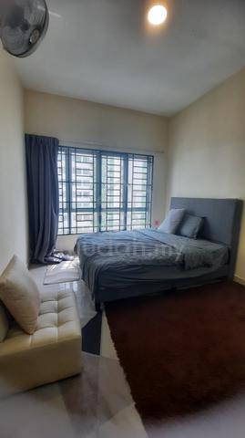 OUG Parklane 1