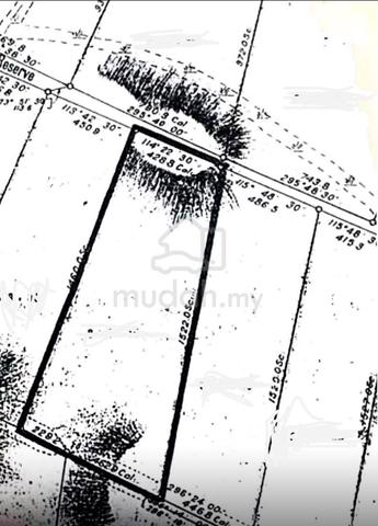 Ban Foo Ulu Tiram Agriculture Land For Sale 1