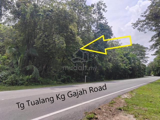 1st lot Freehold agriculture land for sale 1