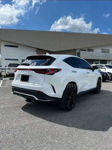 2022 Lexus NX 350 2.4 F SPORT AWD (A) - 4