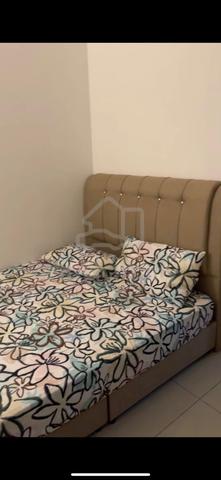 Master Room for rent (non sharing) 1
