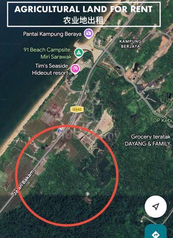 Agriculture Land for Rent at Beraya Sibuti 1