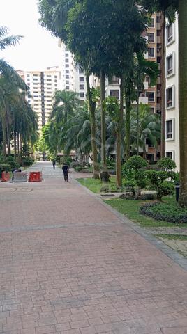 Palm Spring Apt for Rent Near Sime Darby Med Centre, Kota Damansara 5