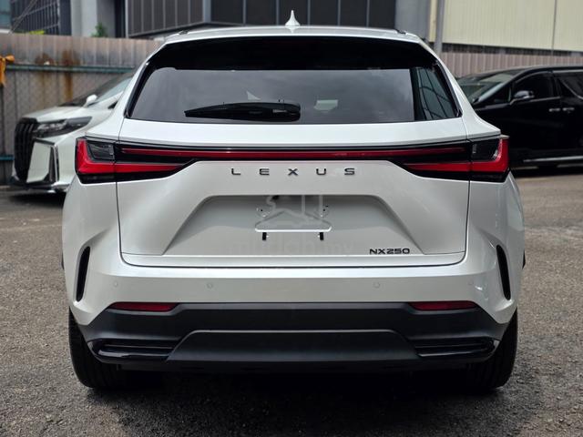 2022 Lexus NX250 2.5 LUXURY (A) - 4
