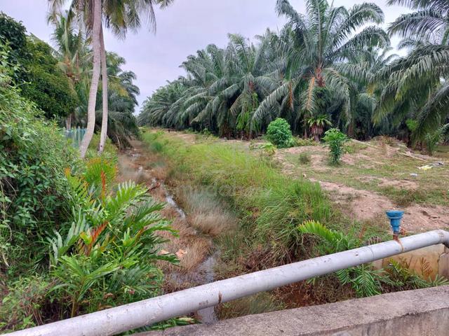 Pasir Panjang Land for Sale 1
