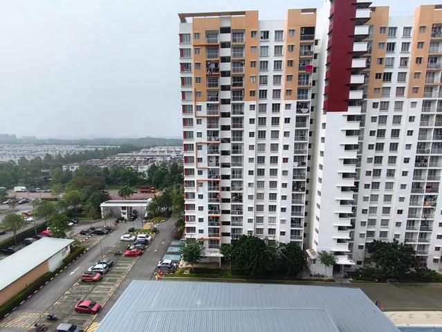 D'Cassia 1