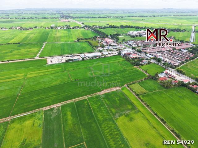 TOWN AREA @ Paddy Field Yan Kedah FOR SALE 1