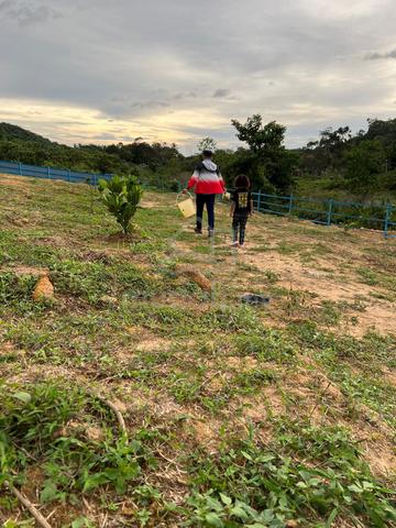 Tanah ladang untuk disewa, tanah siap dibersihkan. 5
