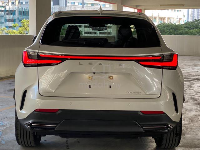 2023 Lexus NX250 VERSION L FREE TINTED - 4