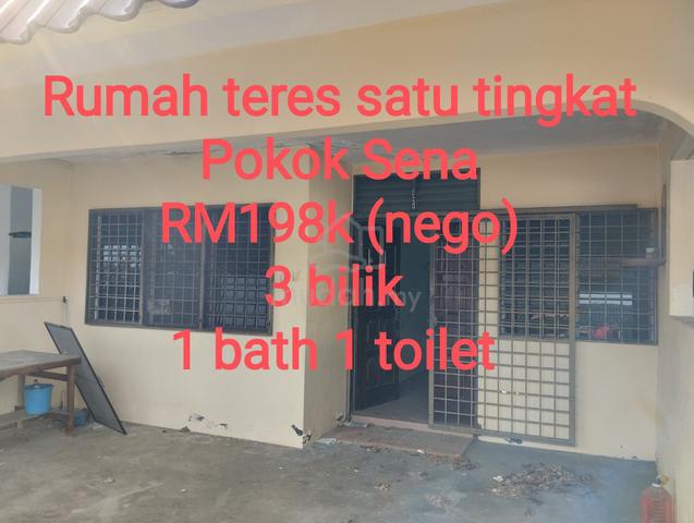 Pokok Sena Teres house 1 tingkat 1
