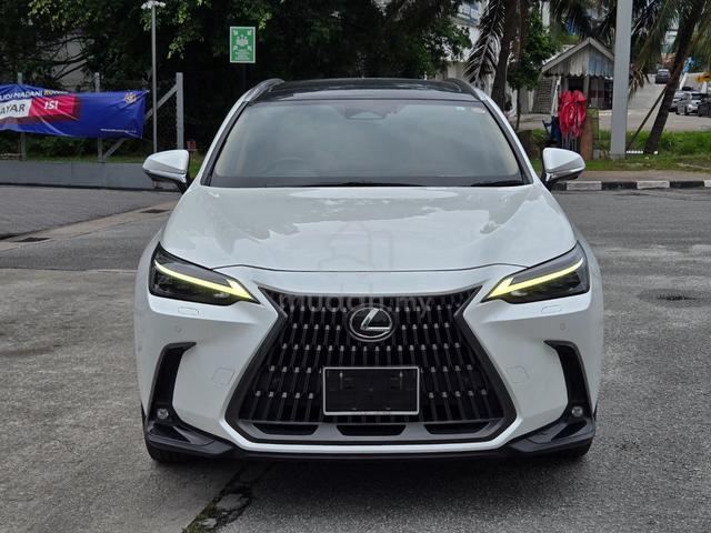 PANROOF/28K KM/2023 Lexus NX 250 2.5 LUXURY - 3