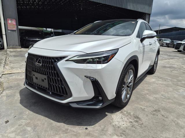 2022 Lexus NX250 2.5 Version L PANROOF 4 CAM HUD - 3