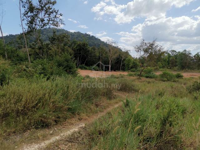 Tanah Cantik,Rapat Jalan Utama, Geran Individu, Tasik Beris, Sik 3