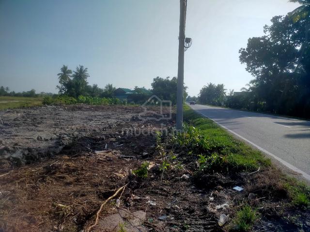 Tanah Tepi Jalan Utama Antara Parit Buntar ke Tanjung Piandang 1