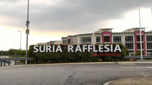 Suria Rafflesia 1