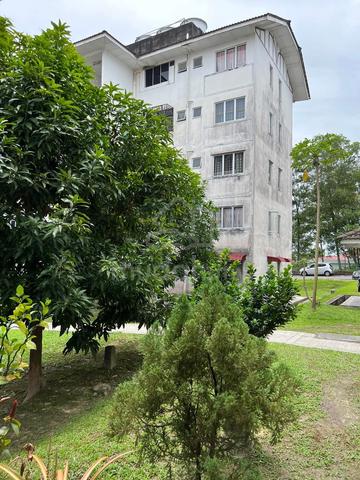 Palma Puteri 2